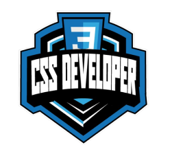 Logo CSS DEVELOPER